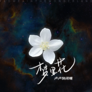 免费国产美女一级八A片
